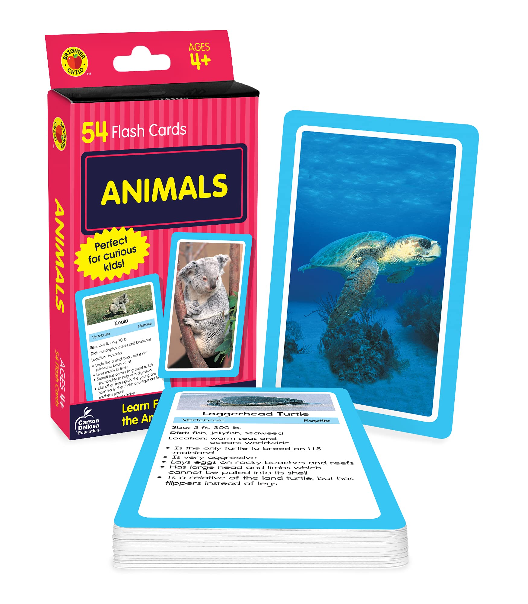 Carson Dellosa 54 Animal Flash Cards, Zoo, Reptiles, Bugs, Sea Creatures, and More Flashcards, Toddler Stocking Stuffers, Preschool Learning Activities for Kids Ages 4 and Up